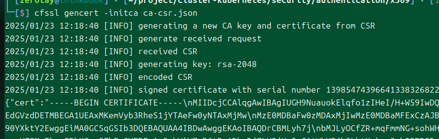 Pasted image 20250123121856.png