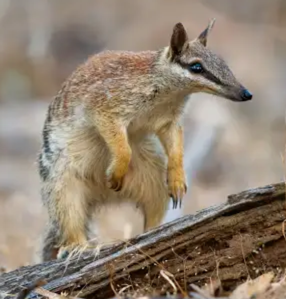 Pasted image 20240425130037.png